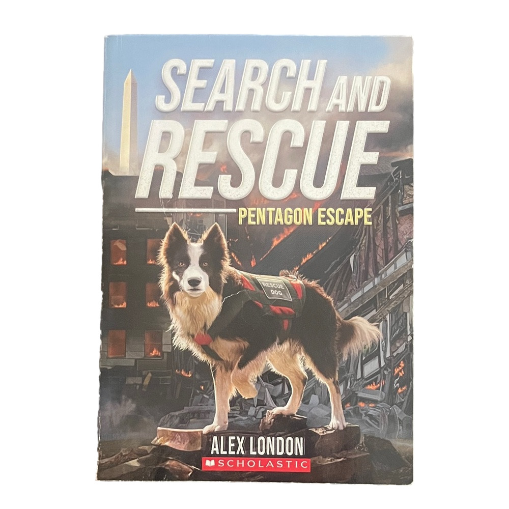 🇺🇸Scholastic Search and Rescue Adventure Historical Fiction Chapter Book